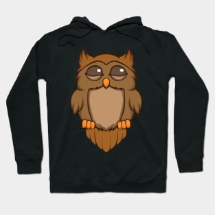 Sleeping Owl  - Cute Owls Hoodie